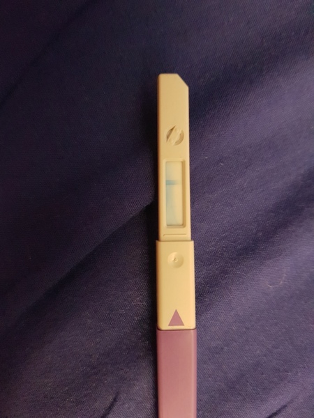 Jesus Christ someone tape my hands together - Prego Tests