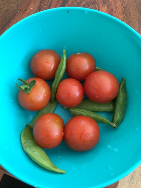 Allotment?Veg Patch Thread 10 - Plotmenters  busy into summer ! and loving James Wong