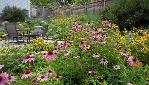 To astro turf my garden?