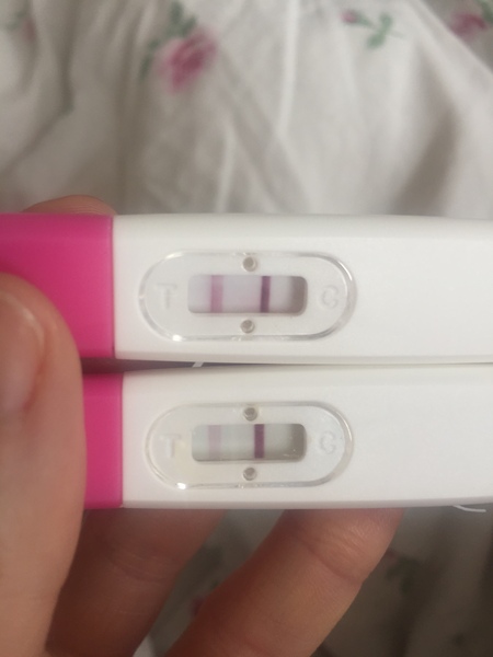 Anyone just found out they're preggers and want some buddies?
