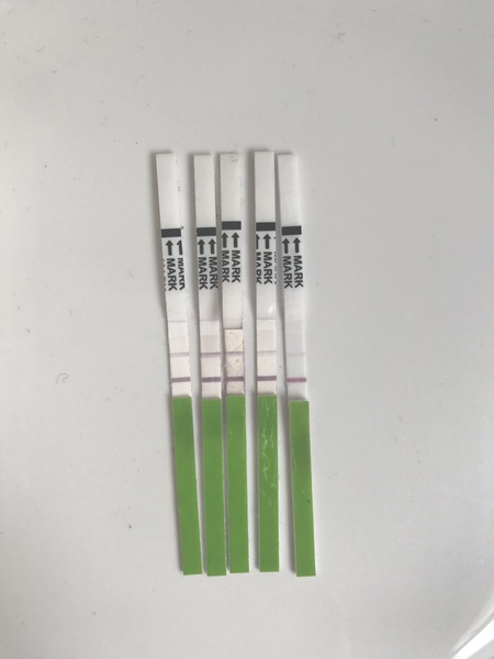 Did I get my surge? Ovulation opk