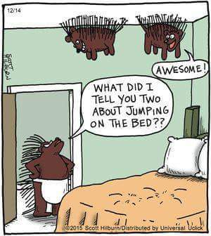 To think that after 3 monkeys bumped their heads, the doctor should just ring social services?