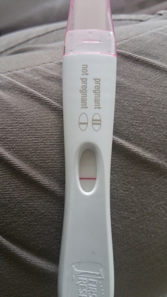 Jesus Christ someone tape my hands together - Prego Tests