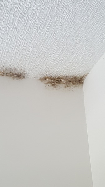 Getting rid of damp