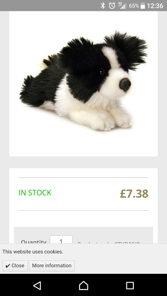To try and find a way of telling my friend she has made a mistake getting a dog?
