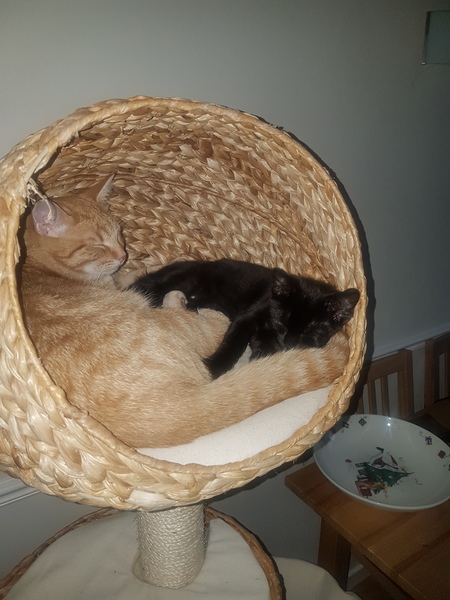 Dennis and Mildred : update (with pics!)
