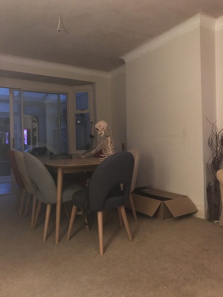 I think I've bought a haunted skeleton....