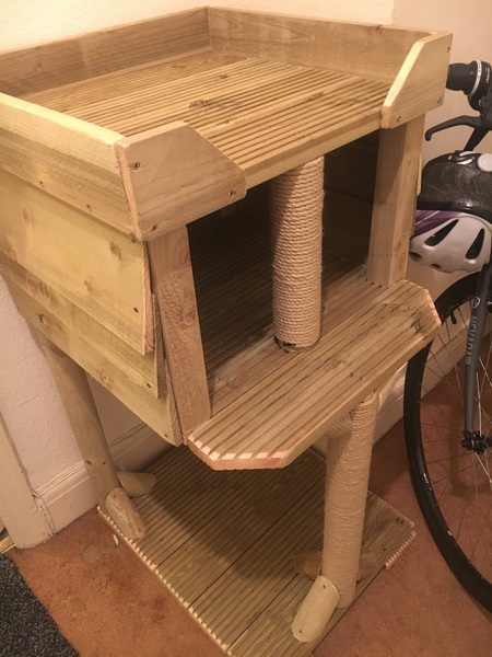 Any tips on keeping your abode smelling not of cat?