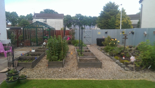 Allotment?Veg Patch Thread 10 - Plotmenters  busy into summer ! and loving James Wong