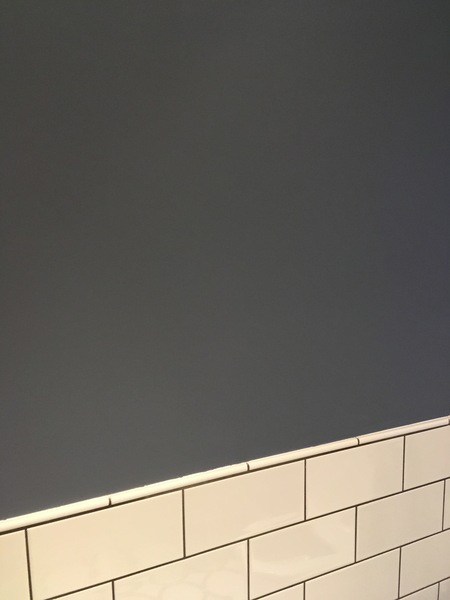 Little Greene Juniper Ash