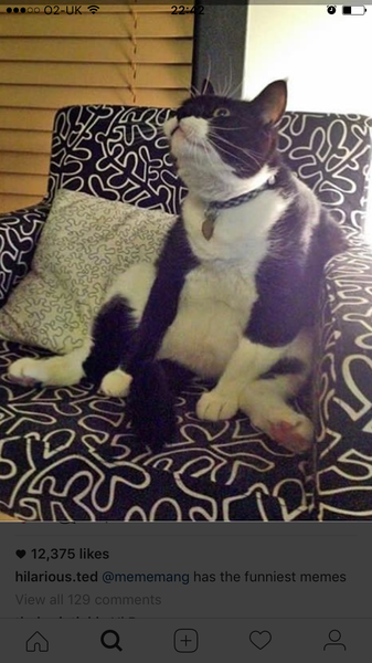 November 2017 #3: Flutters, bubbles and a proper bump!