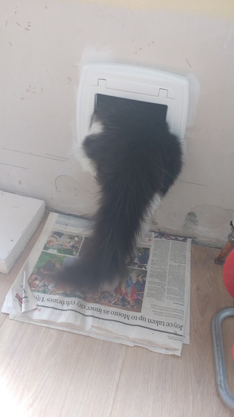tunnel cat flap