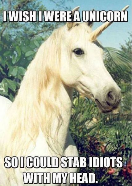 To ask why is everyone obsessed with unicorns?