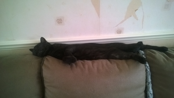 It is far too hot and stuffy....and flop