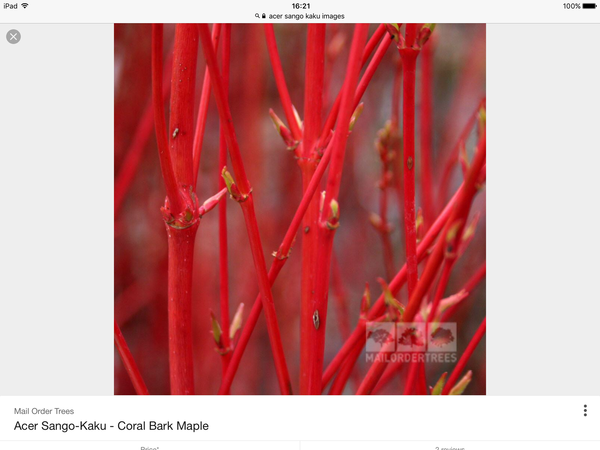 Planting this time of year