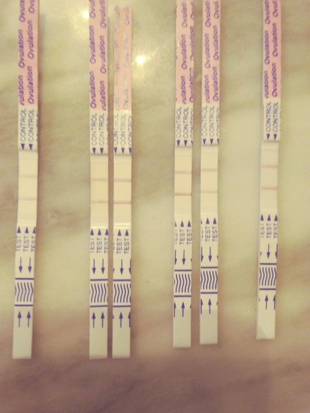 Opk peeps - is rhis a + opk  please?