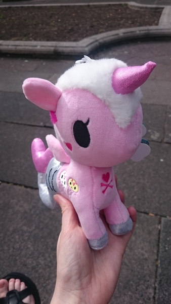 To ask why is everyone obsessed with unicorns?