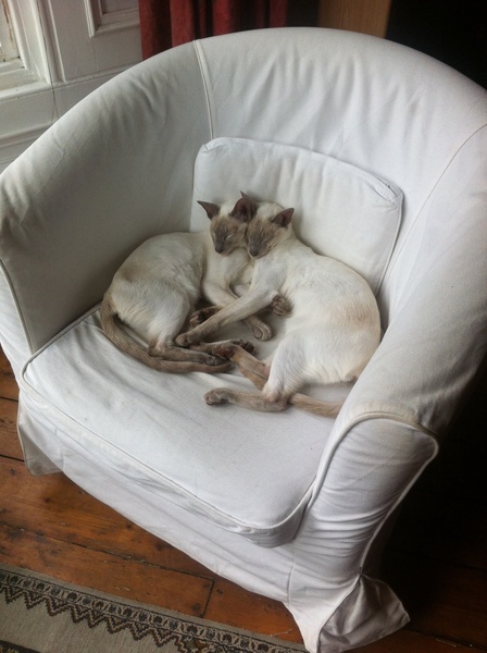 Week 8 - Summer Low Carb Bootcamp - two months almost done ...