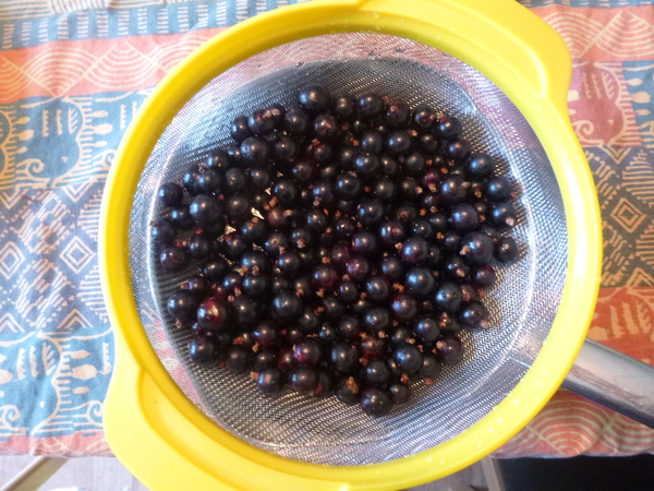 Allotment?Veg Patch Thread 10 - Plotmenters  busy into summer ! and loving James Wong