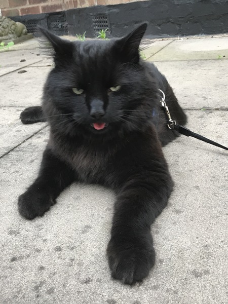 It is far too hot and stuffy....and flop