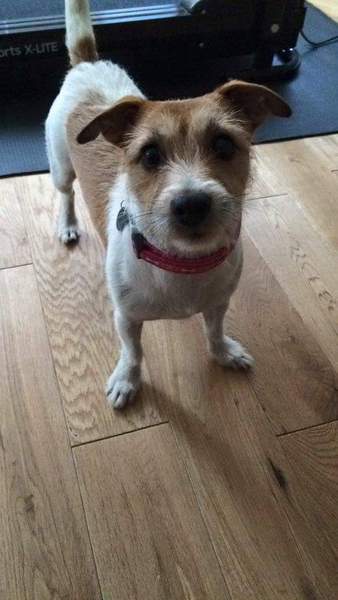 Week 8 - Summer Low Carb Bootcamp - two months almost done ...