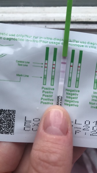 First + OPK after period?