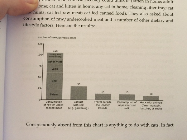 How much of a worry is Toxoplasmosis ?