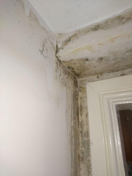 To think I've got my landlord over a barrel