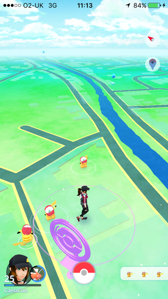 There's no-one quite like Yanma, I'm sure you will agree