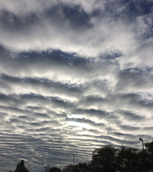 Photos taken on your cycle.