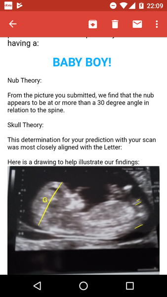 Nub theory