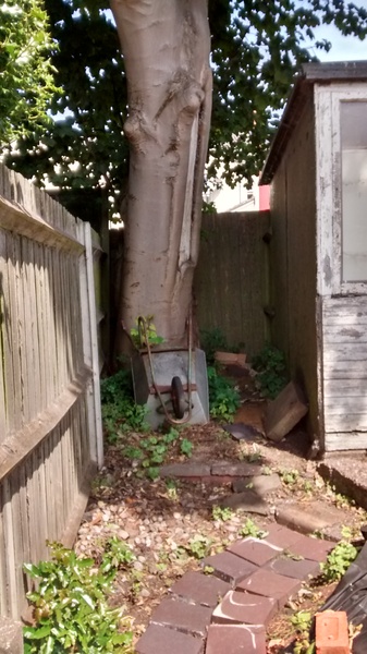 What shall we do with our new garden? Pics attached