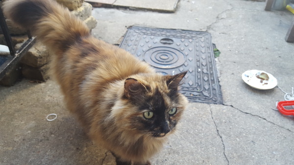 Interloper in my happy home....