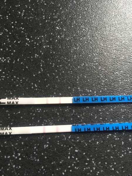 Ovulation test help an 2ww