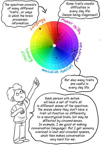 To ask my friend to stop describing anyone she thinks odd/boring/different from her as 'on the spectrum'?