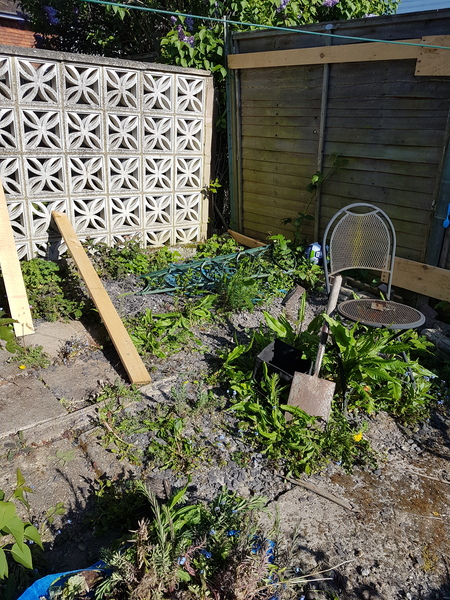 Find out how MNers are getting on with their Homebase Garden Goals challenge NOW CLOSED