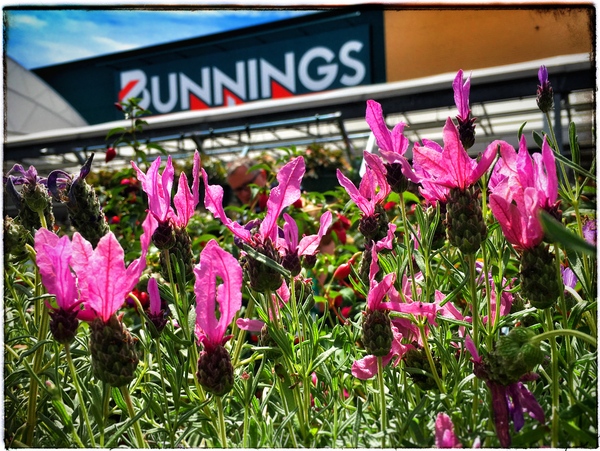 Bunnings home improvement and gardening store - share your best home improvement tips - win £200 voucher NOW CLOSED