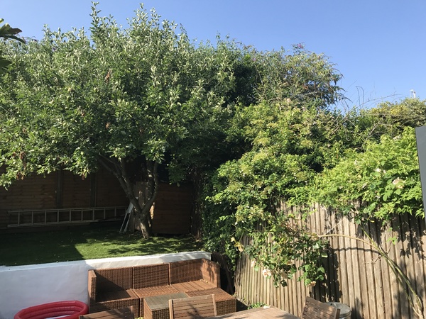 To astro turf my garden?