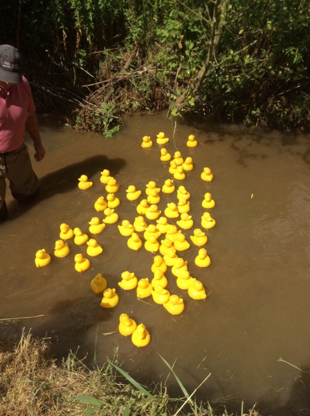 Jolly japes in July (only if they are frugal)...!