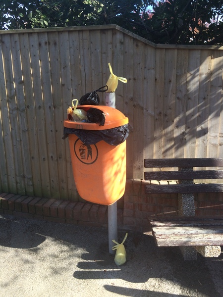 Dog owner putting poo bags in my wheelie bin