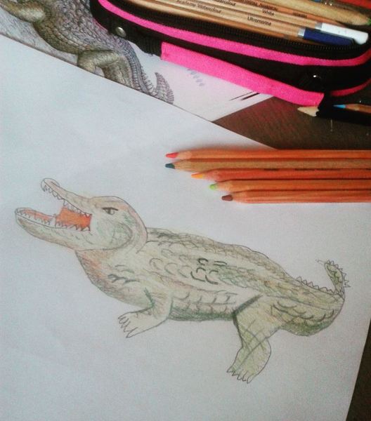 Child aged 5-11 who loves drawing? Enter the BIC® competition