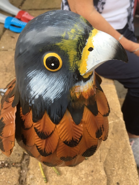 To have bought ds's teacher a giant kestrel?