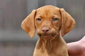 Fantastic Skincare: Skin (almost) sorted- decent fucking summer fucking clothes would be fucking nice. Don't ask us about our hair 🐌