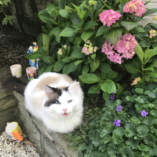 It is far too hot and stuffy....and flop