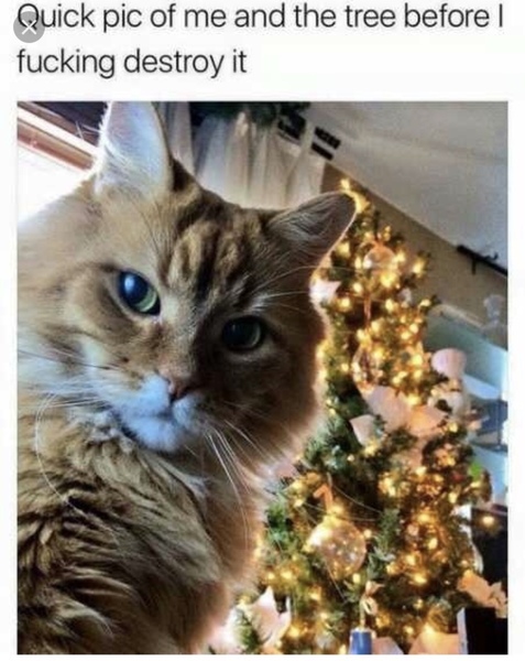 Week 8 - Summer Low Carb Bootcamp - two months almost done ...