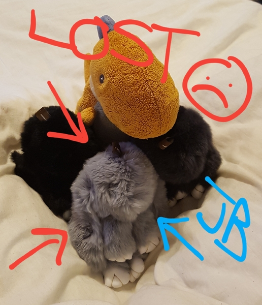 Lost grey bunny IKEA Coventry 1/7/17