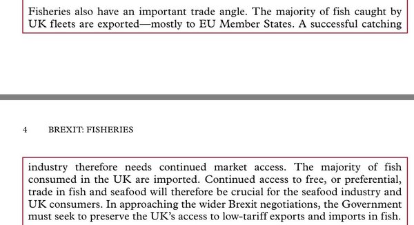 Westministenders: Hey Hey we're the Monkies.
