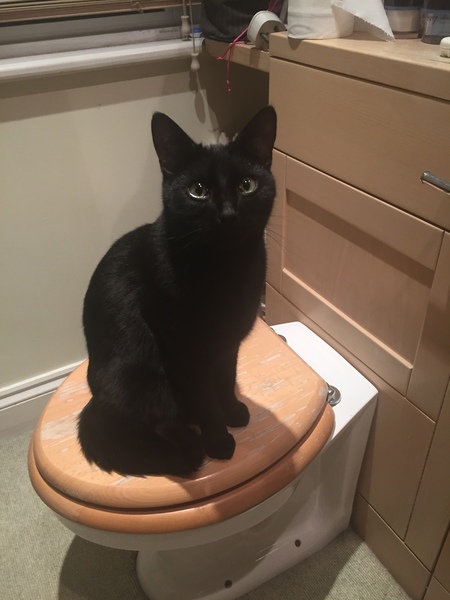 Week 8 - Summer Low Carb Bootcamp - two months almost done ...