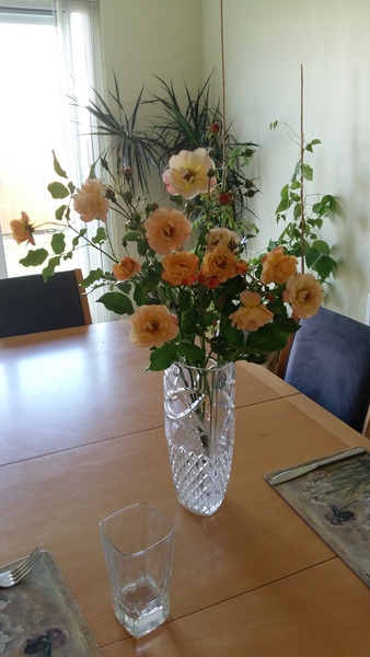 Jolly japes in July (only if they are frugal)...!