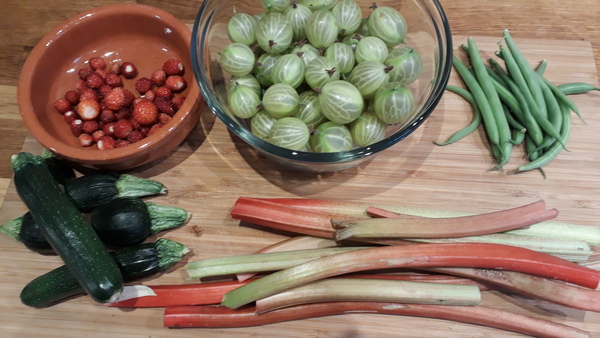 Allotment?Veg Patch Thread 10 - Plotmenters  busy into summer ! and loving James Wong